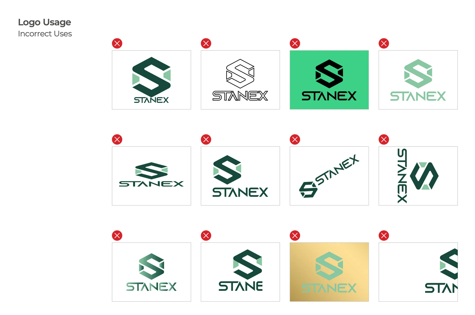 Stanex Brand Identity brand asset 2
